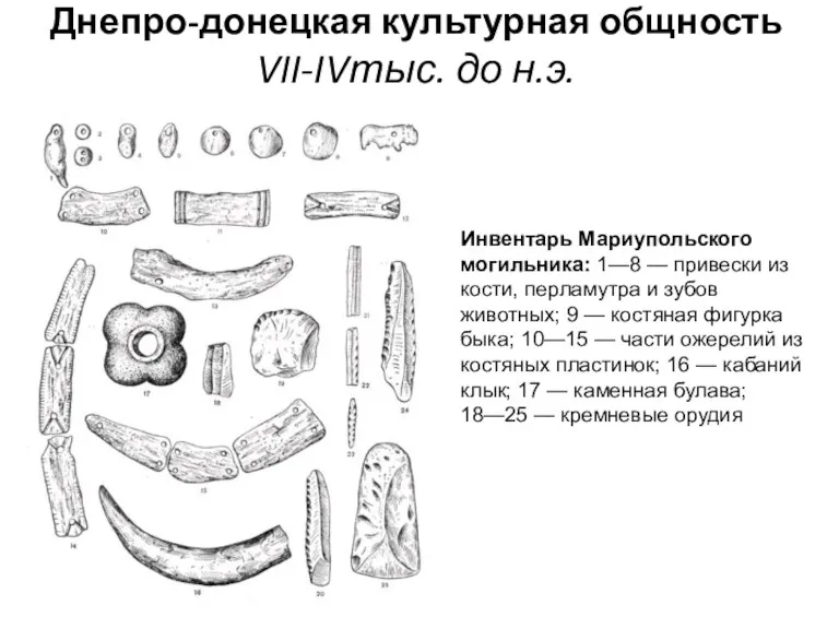 Днепро-донецкая культурная общность VII-IVтыс. до н.э. Инвентарь Мариупольского могильника: 1—8