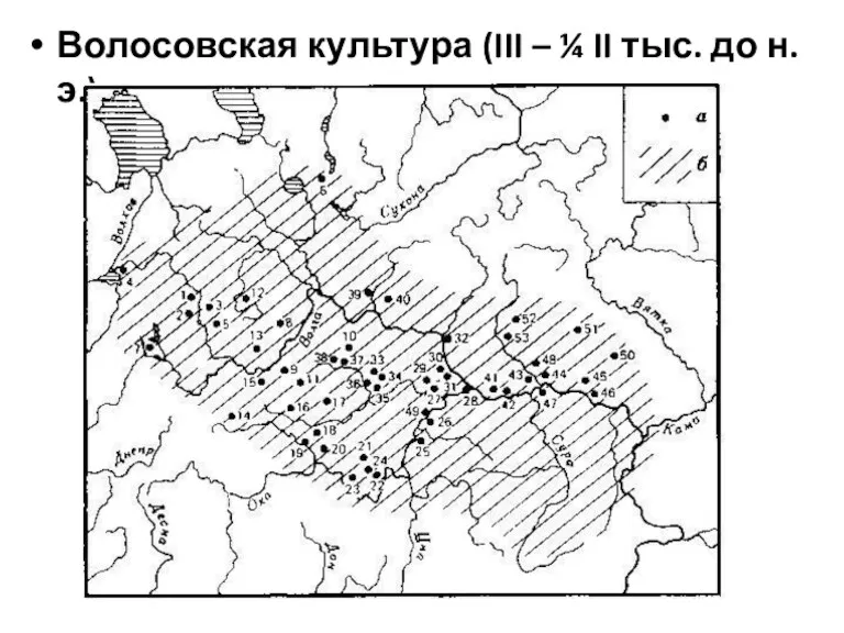 Волосовская культура (III – ¼ II тыс. до н.э.)