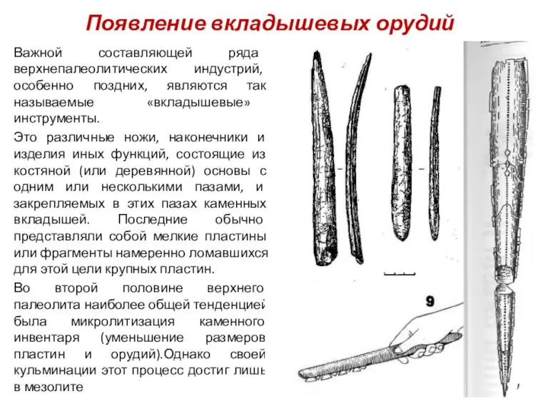 Появление вкладышевых орудий Важной составляющей ряда верхнепалеолитических индустрий, особенно поздних,