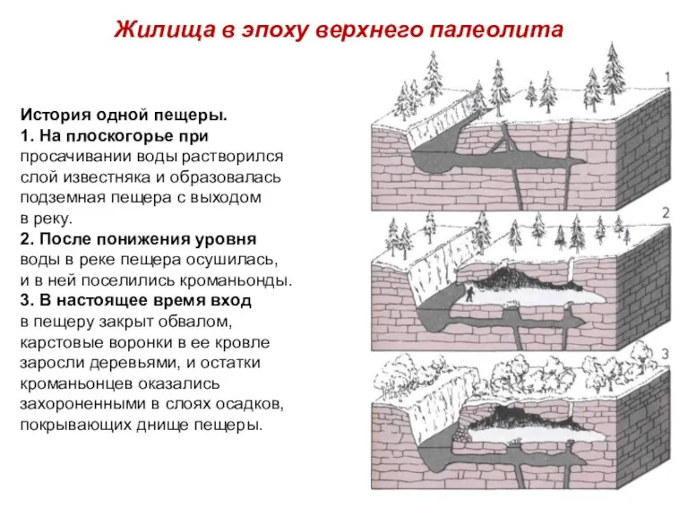 Жилища в эпоху верхнего палеолита История одной пещеры. 1. На