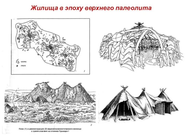 Жилища в эпоху верхнего палеолита