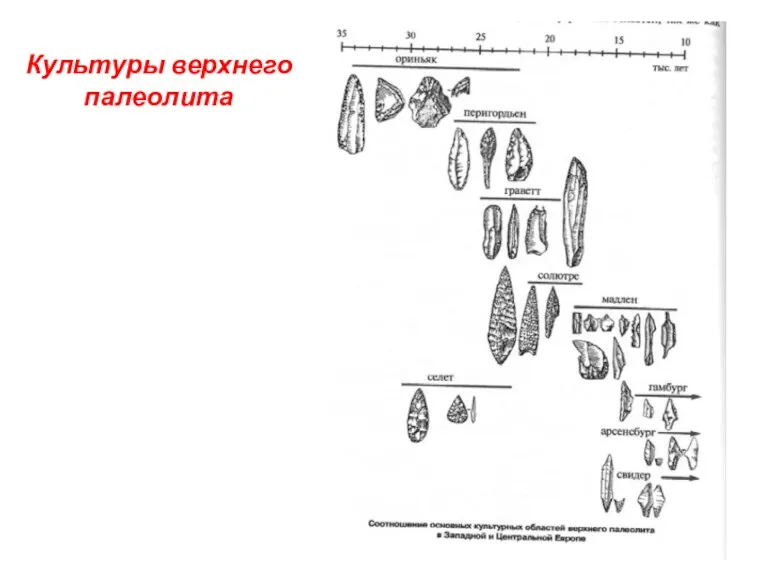 Культуры верхнего палеолита