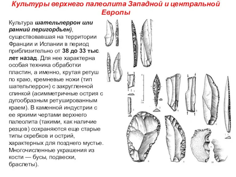 Культуры верхнего палеолита Западной и центральной Европы Культура шательперрон или