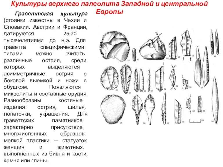 Культуры верхнего палеолита Западной и центральной Европы Граветтская культура (стоянки