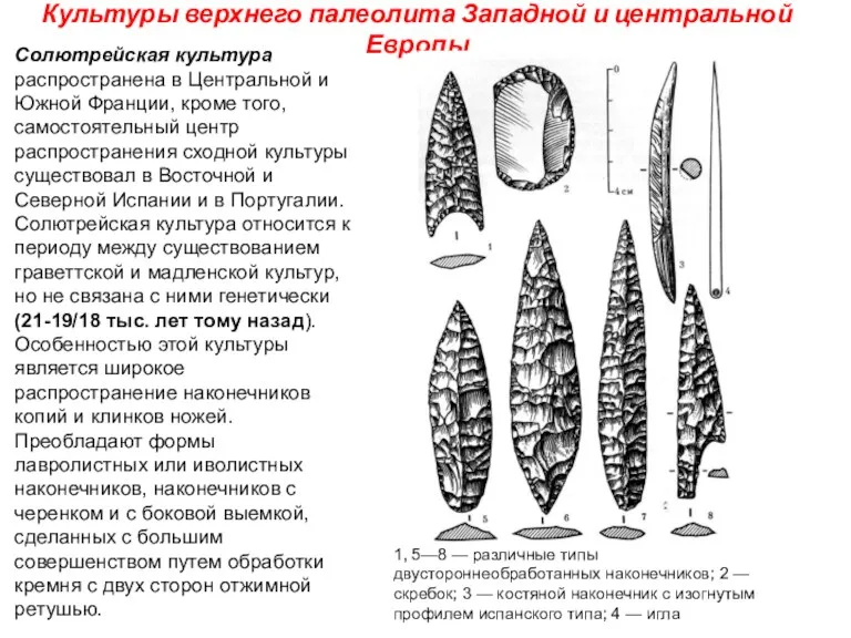 Культуры верхнего палеолита Западной и центральной Европы Солютрейская культура распространена