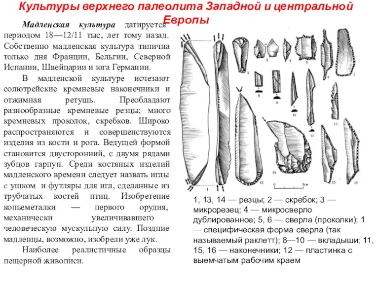Культуры верхнего палеолита Западной и центральной Европы Мадленская культура датируется
