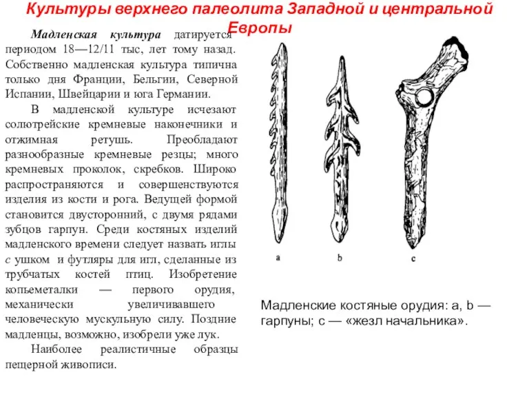 Культуры верхнего палеолита Западной и центральной Европы Мадленская культура датируется