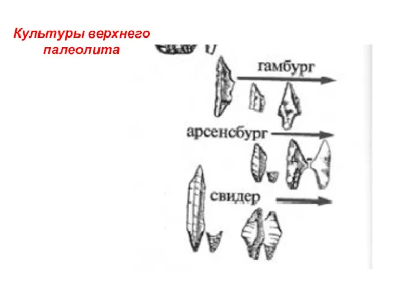 Культуры верхнего палеолита