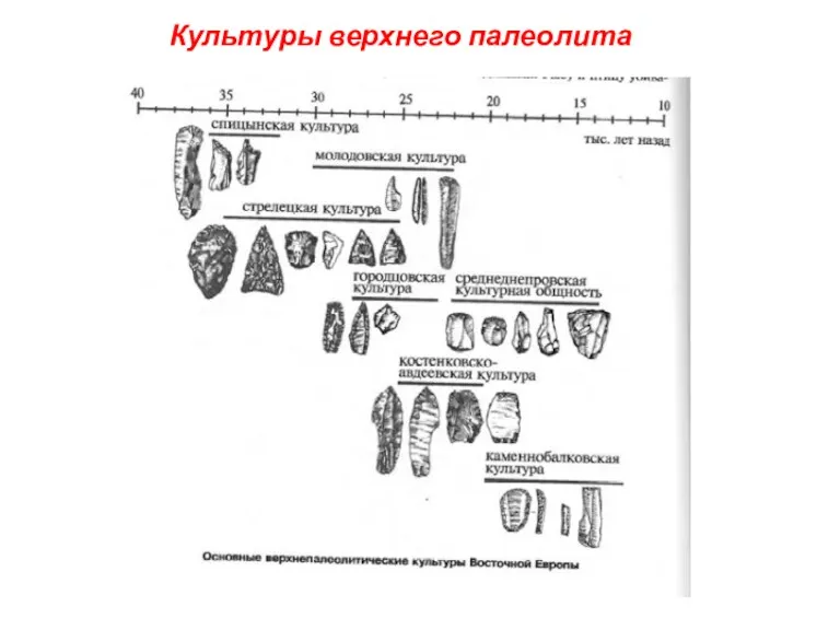 Культуры верхнего палеолита