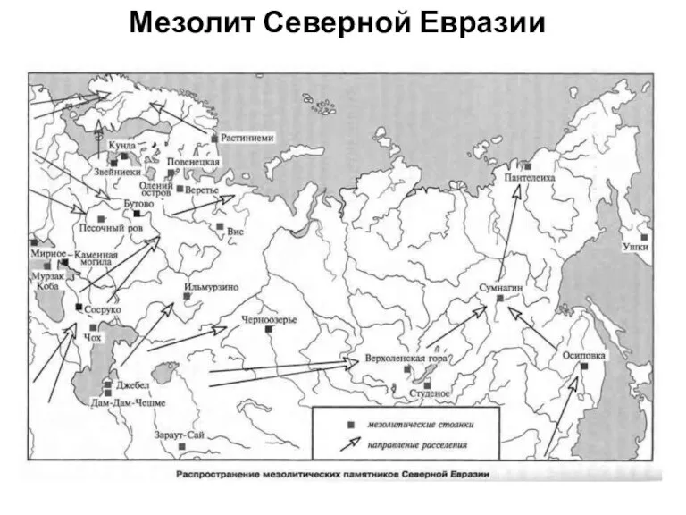 Мезолит Северной Евразии