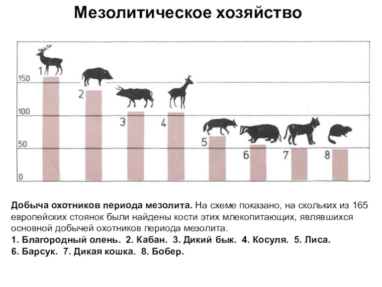 Мезолитическое хозяйство Добыча охотников периода мезолита. На схеме показано, на