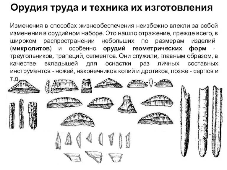 Орудия труда и техника их изготовления Изменения в способах жизнеобеспечения