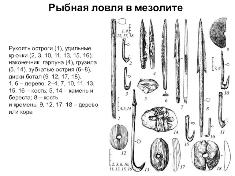 Рыбная ловля в мезолите Рукоять остроги (1), удильные крючки (2,