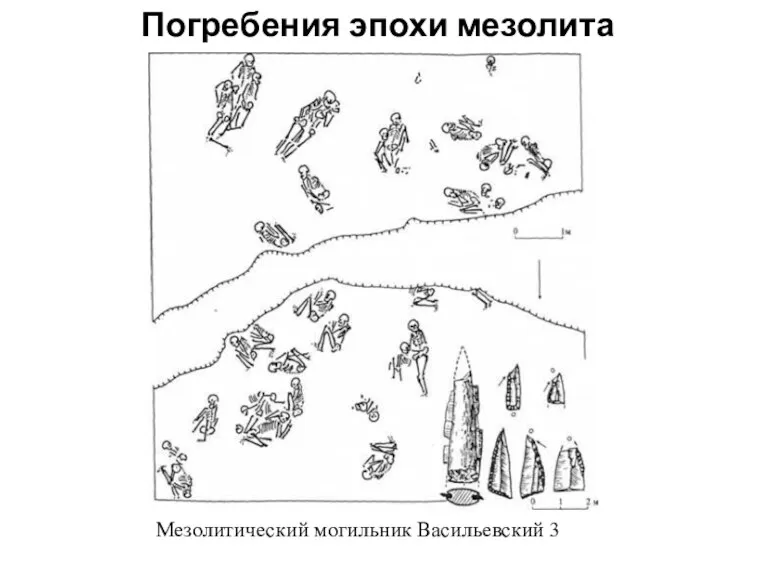 Погребения эпохи мезолита Мезолитический могильник Васильевский 3