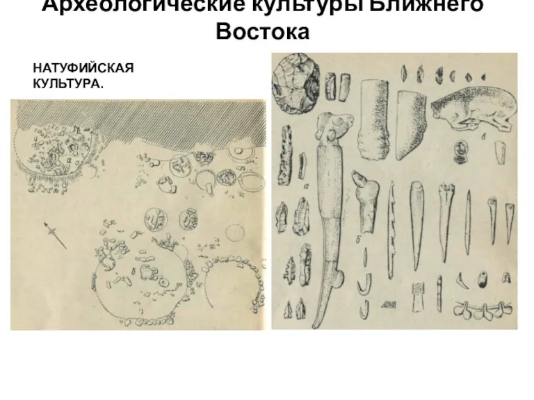 Археологические культуры Ближнего Востока НАТУФИЙСКАЯ КУЛЬТУРА.