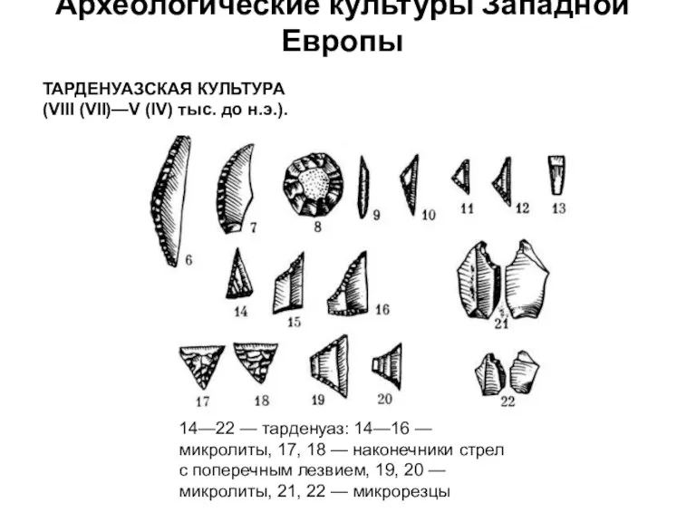 Археологические культуры Западной Европы ТАРДЕНУАЗСКАЯ КУЛЬТУРА (VIII (VII)—V (IV) тыс.