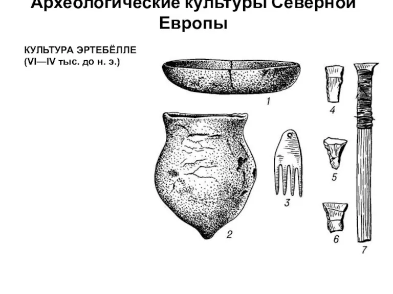 Археологические культуры Северной Европы КУЛЬТУРА ЭРТЕБЁЛЛЕ (VI—IV тыс. до н. э.)