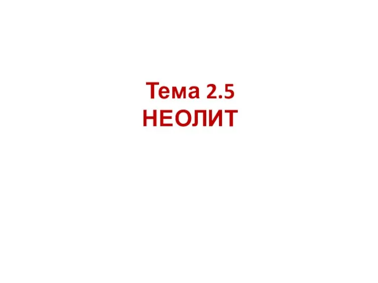 Тема 2.5 НЕОЛИТ