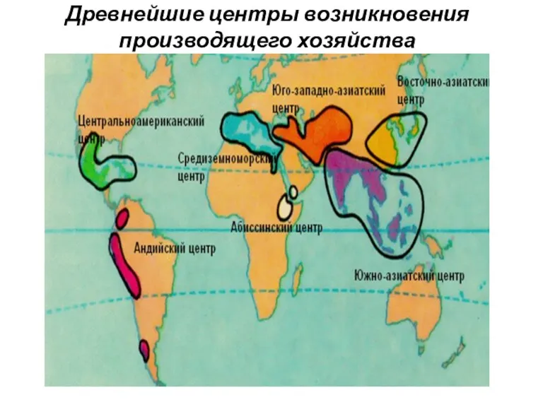 Древнейшие центры возникновения производящего хозяйства