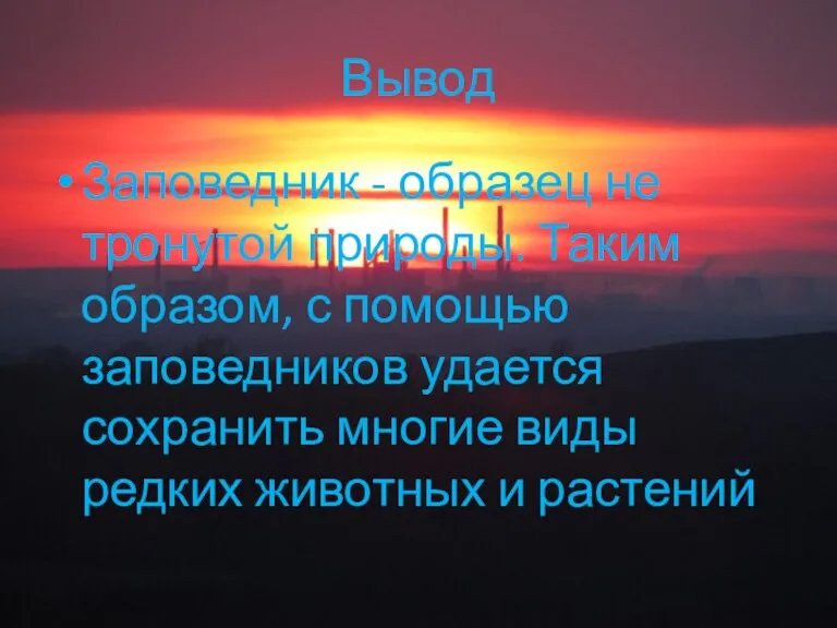 Вывод Заповедник - образец не тронутой природы. Таким образом, с