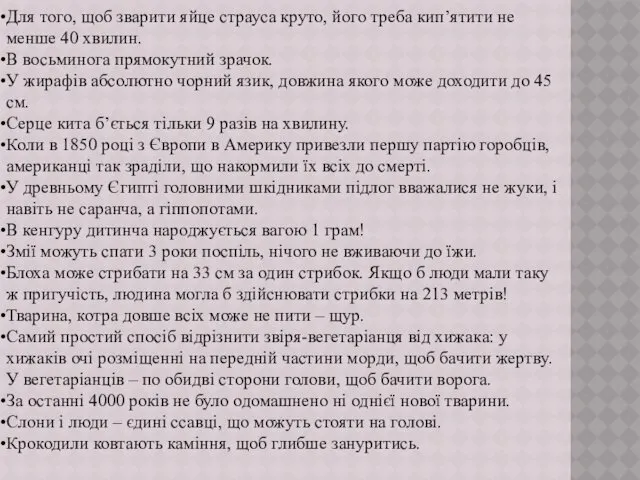 Для того, щоб зварити яйце страуса круто, його треба кип’ятити