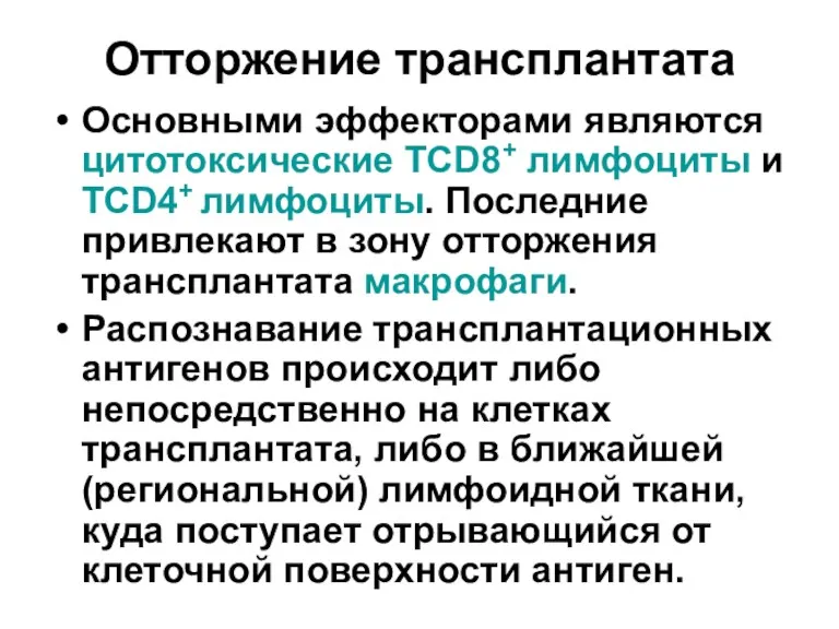 Отторжение трансплантата Основными эффекторами являются цитотоксические ТCD8+ лимфоциты и ТCD4+