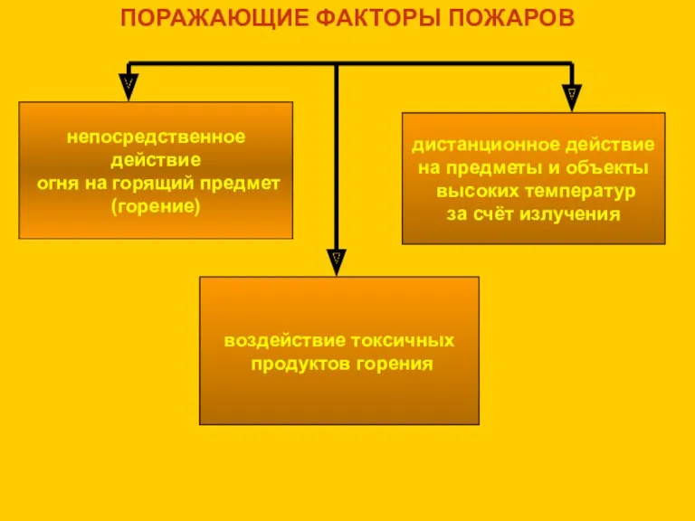 непосредственное действие огня на горящий предмет (горение) ПОРАЖАЮЩИЕ ФАКТОРЫ ПОЖАРОВ