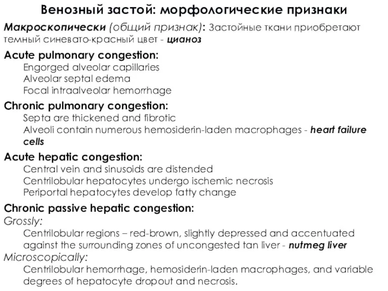 Венозный застой: морфологические признаки Макроскопически (общий признак): Застойные ткани приобретают