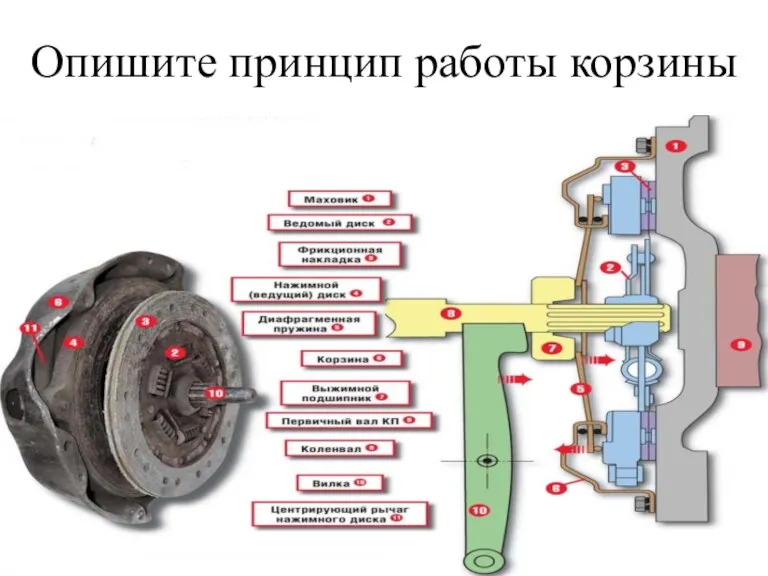 Опишите принцип работы корзины