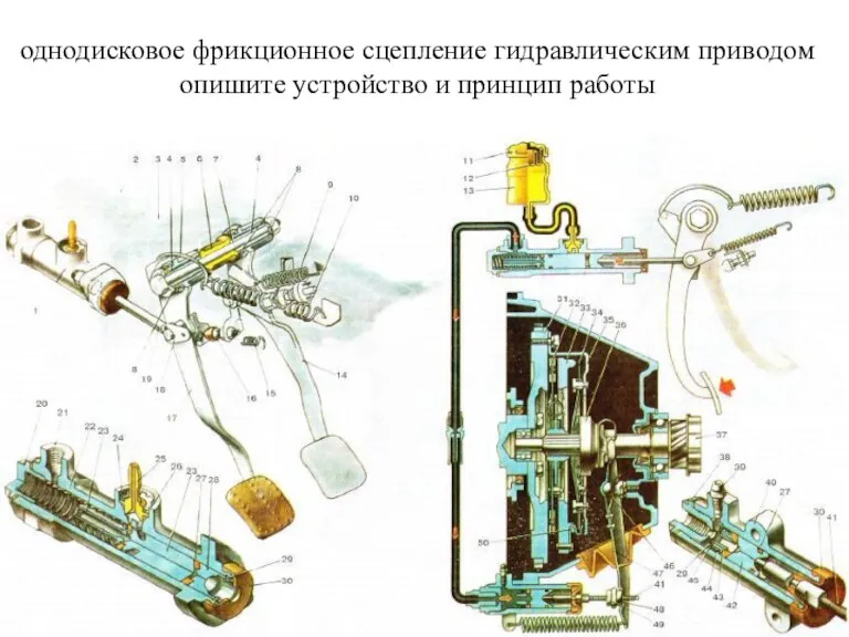 однодисковое фрикционное сцепление гидравлическим приводом опишите устройство и принцип работы