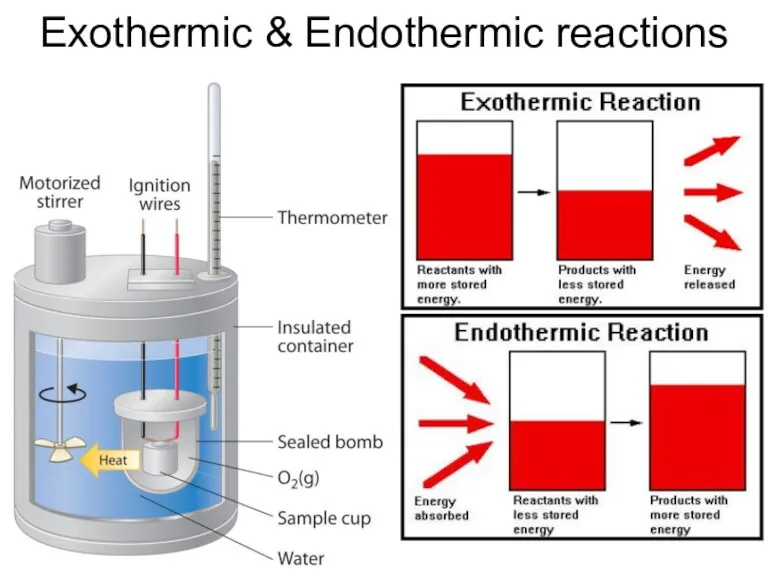 Exothermic & Endothermic reactions