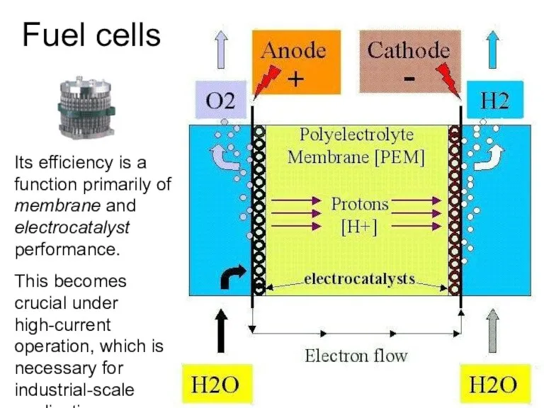 Its efficiency is a function primarily of membrane and electrocatalyst performance. This becomes
