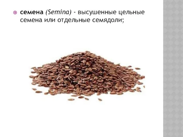 семена (Semina) - высушенные цельные семена или отдельные семядоли;