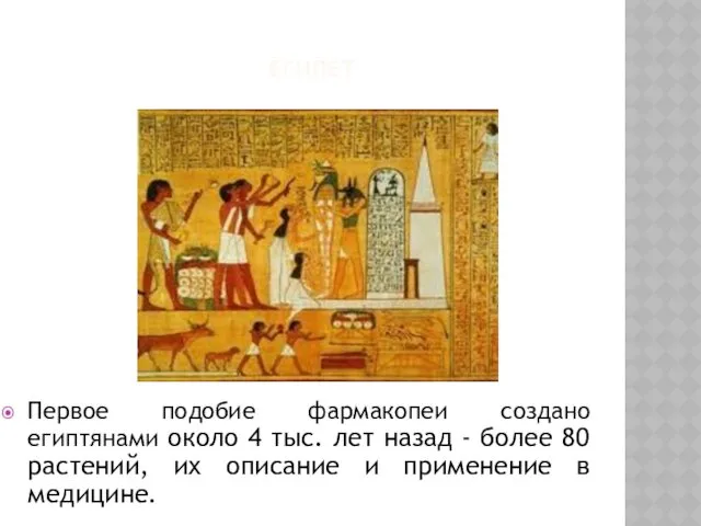 ЕГИПЕТ Первое подобие фармакопеи создано египтянами около 4 тыс. лет
