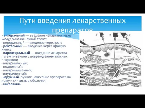 Пути введения лекарственных препаратов - энтеральный — введение лекарства через