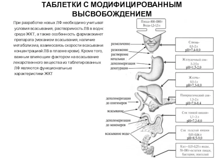 ТАБЛЕТКИ С МОДИФИЦИРОВАННЫМ ВЫСВОБОЖДЕНИЕМ При разработке новых ЛФ необходимо учитывать