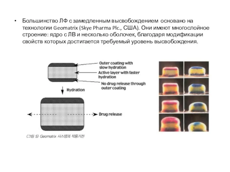 Большинство ЛФ с замедленным высвобождением основано на технологии Geomatrix (Skye