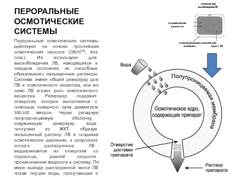 ПЕРОРАЛЬНЫЕ ОСМОТИЧЕСКИЕ СИСТЕМЫ Пероральные осмотические системы действуют на основе простейших