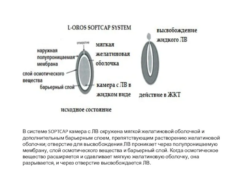 В системе SOPTCAP камера с ЛВ окружена мягкой желатиновой оболочкой