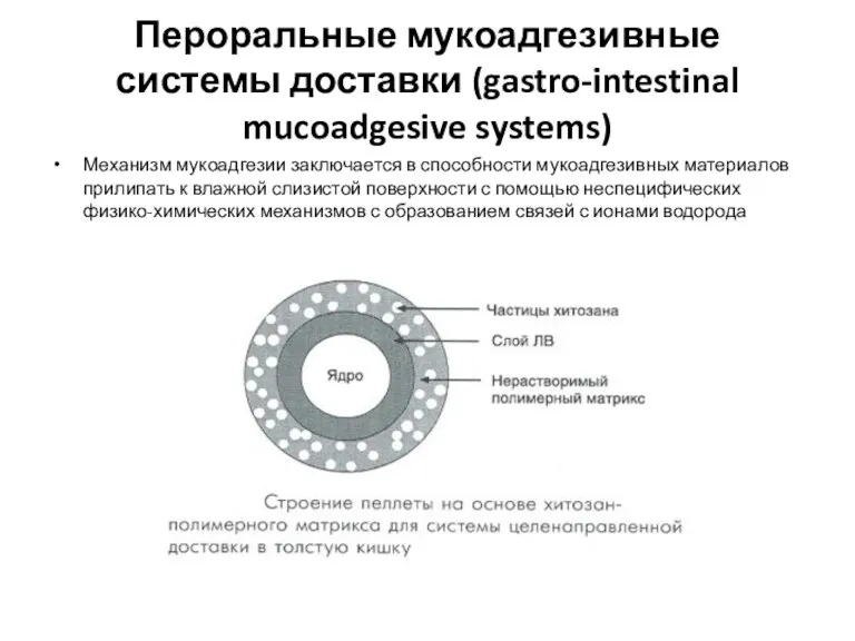 Пероральные мукоадгезивные системы доставки (gastro-intestinal mucoadgesive systems) Механизм мукоадгезии заключается