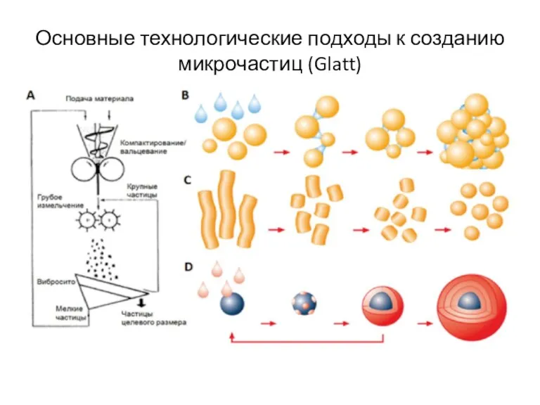 Основные технологические подходы к созданию микрочастиц (Glatt)