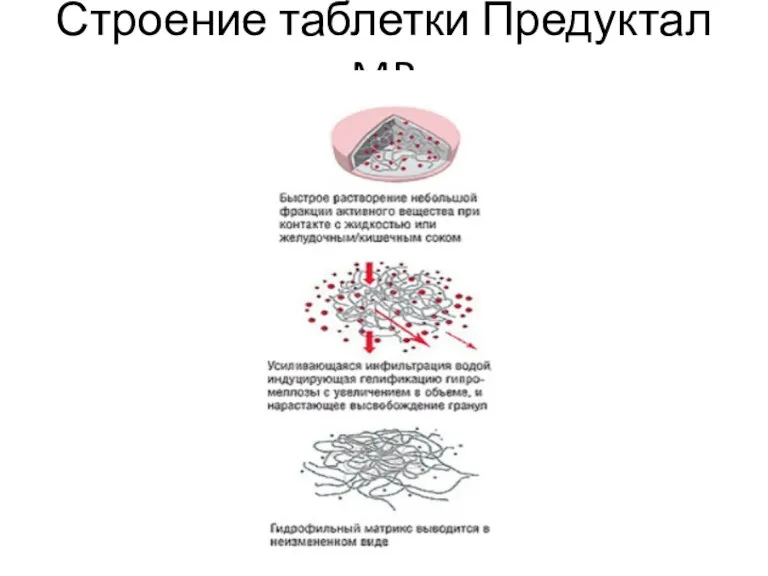 Строение таблетки Предуктал MR