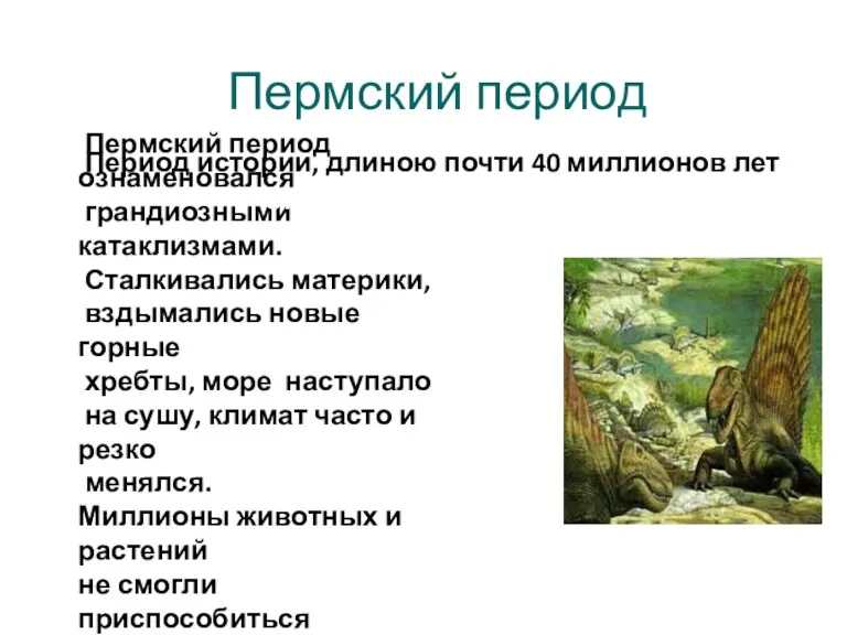 Пермский период Период истории, длиною почти 40 миллионов лет от 286 до 248 млн. лет назад