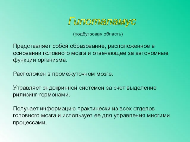 (подбугровая область) Представляет собой образование, расположенное в основании головного мозга