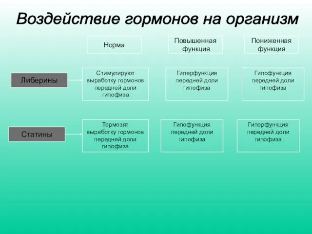 Либерины Статины Норма Повышенная функция Пониженная функция Стимулируют выработку гормонов передней доли гипофиза