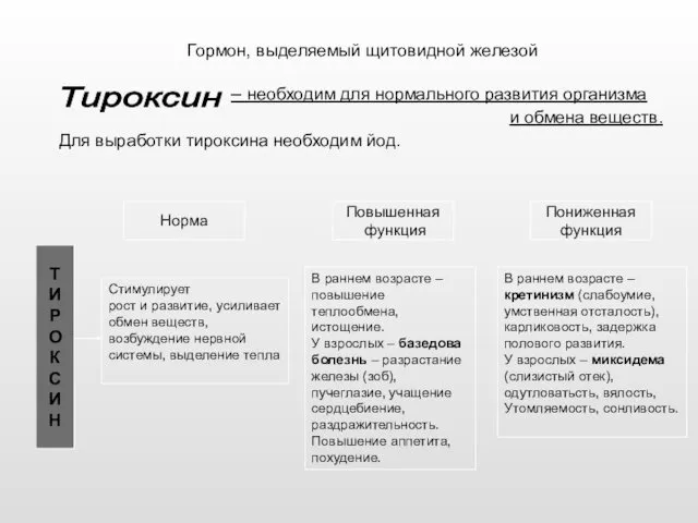 Гормон, выделяемый щитовидной железой – необходим для нормального развития организма и обмена веществ.