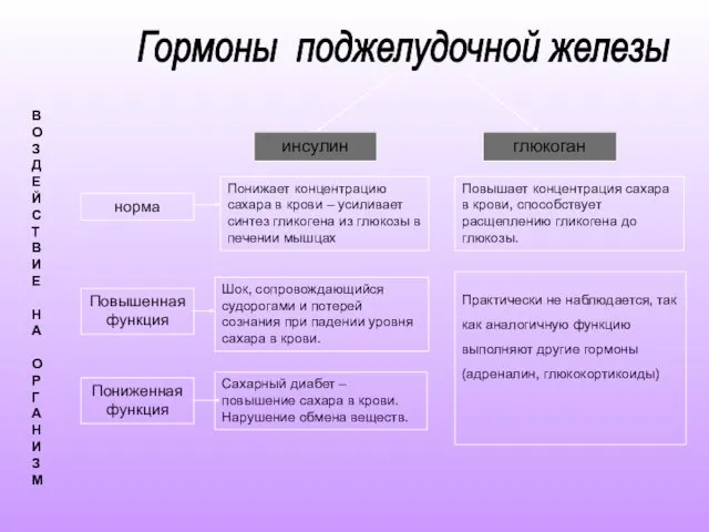 инсулин глюкоган норма Повышенная функция Пониженная функция Понижает концентрацию сахара