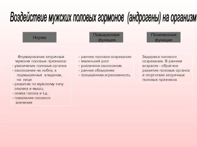 Норма Повышенная функция Пониженная функция Формирование вторичных мужских половых признаков: