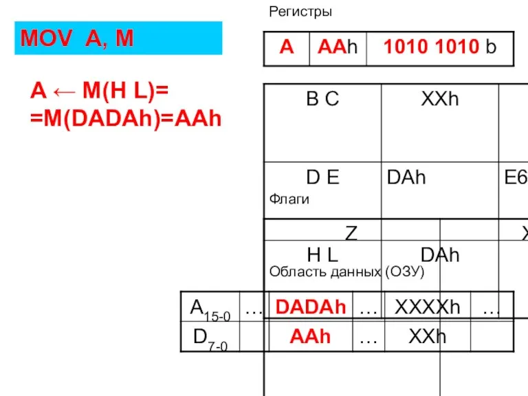 Флаги Регистры Область данных (ОЗУ) MOV A, M A ← M(H L)= =M(DADAh)=AAh