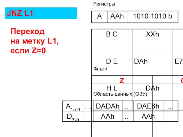 Флаги Регистры Область данных (ОЗУ) JNZ L1 Переход на метку L1, если Z=0